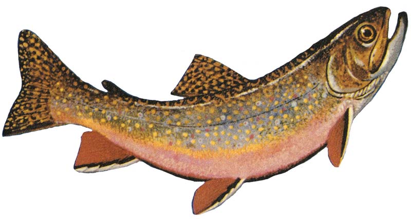 Rödingar
